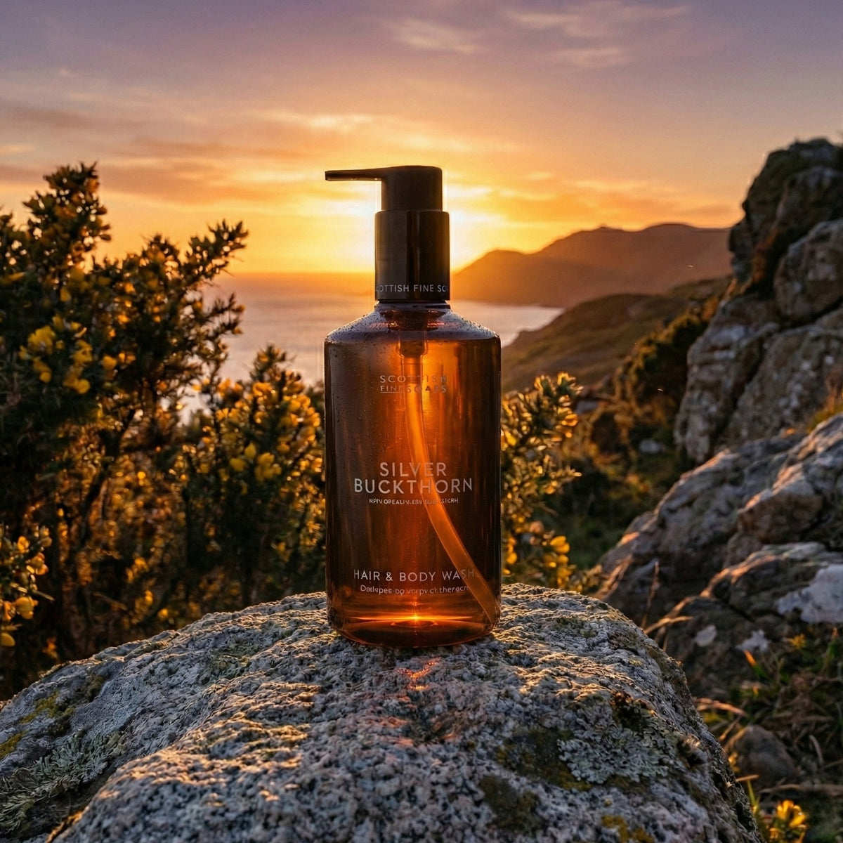 Silver Buckthorn Hair & Body Wash bottle on rocks at sunset