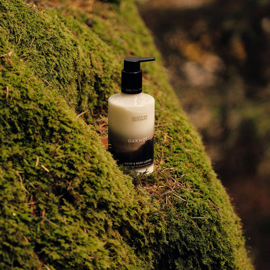 Oakmoss Hand & Body Lotion pump bottle on a mossy tree in woodland