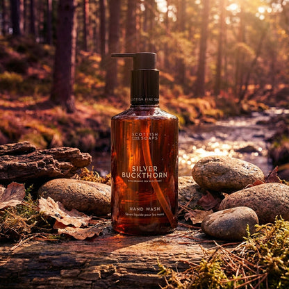 Silver Buckthorn Hand Wash bottle among stones and autumn woodland leaves