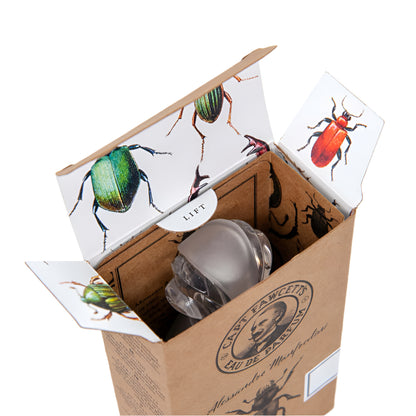 Cardboard box with a glass item and beetle-themed inserts on a white background
