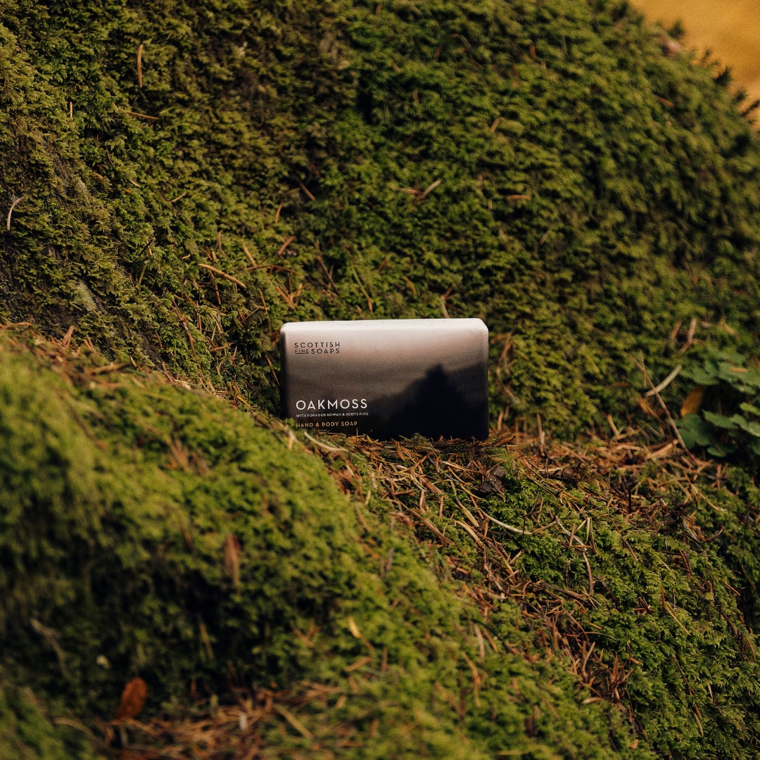 Oakmoss Hand & Body Soap bar resting on a moss-covered tree